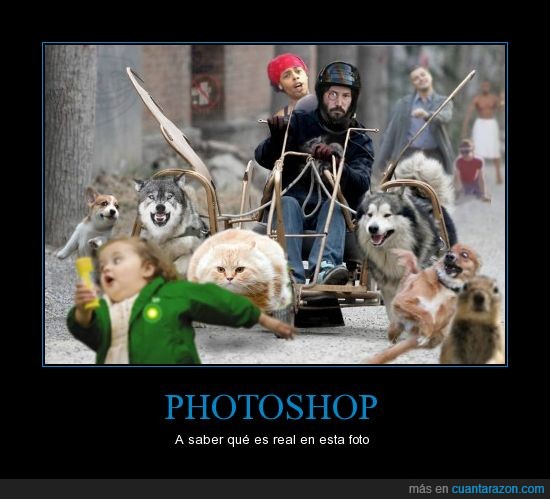 gato volador,perros,Leonardo DiCaprio,Memes,niña de las burbujas,photoshop,mix